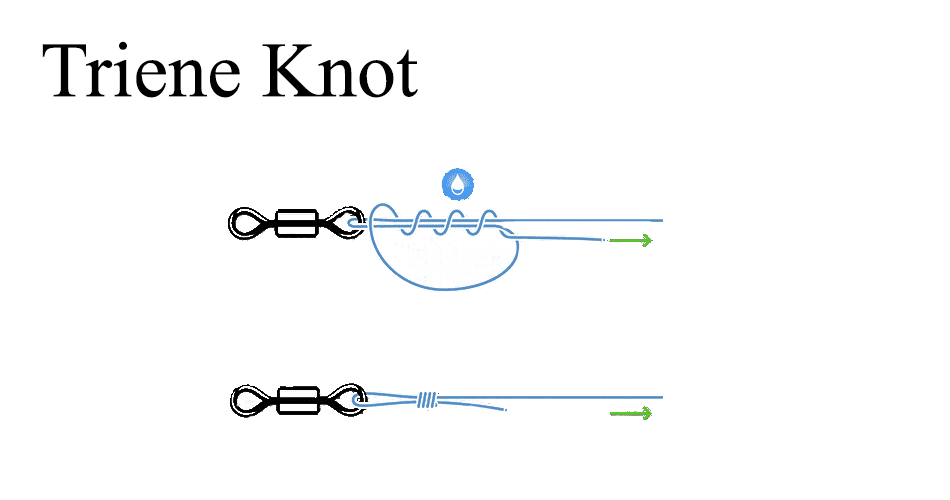 Triene Knot 