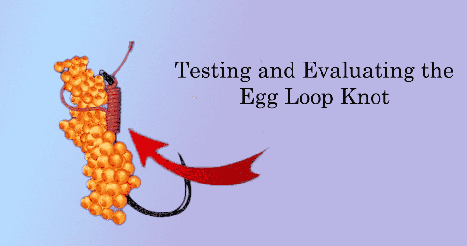 Evaluating the Egg Loop Knot