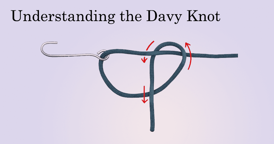 Understanding the Davy Knot