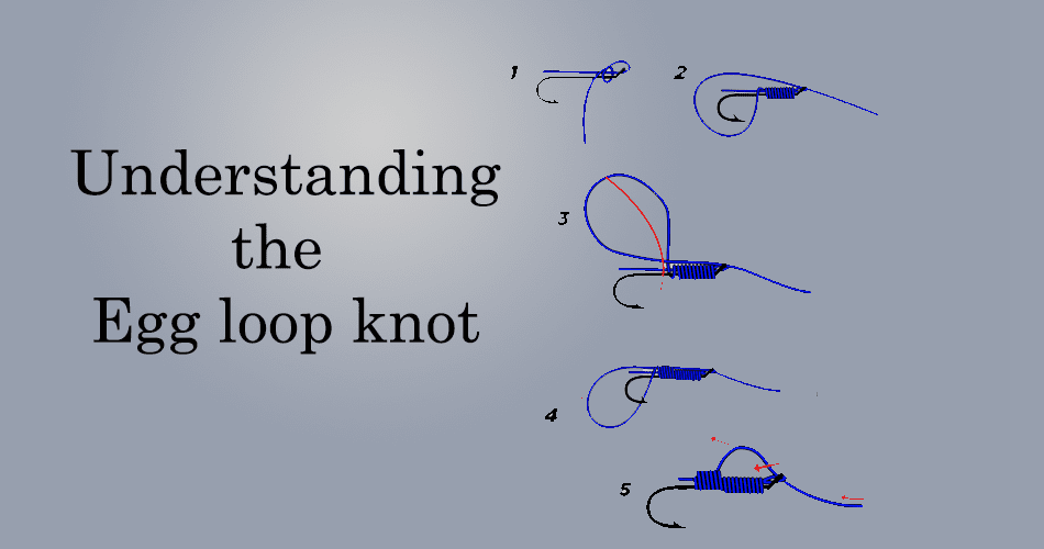 Understanding the Egg Loop Knot