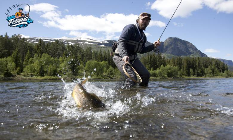 Best Freshwater Fishing Techniques - You Must Try Once