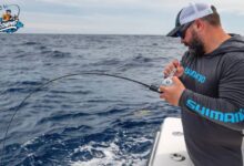 Saltwater Fishing Techniques